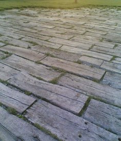 Legno